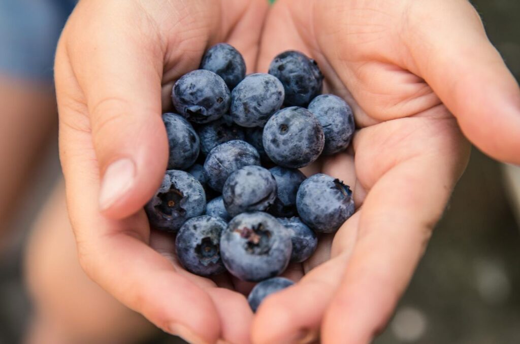 Blueberries